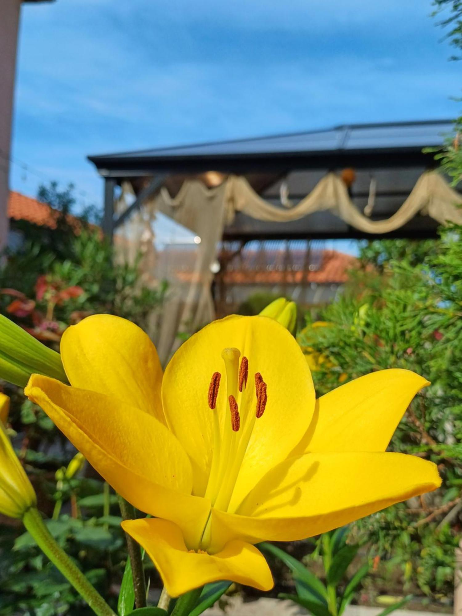 Dom Zaharievi Otel Byala  Oda fotoğraf