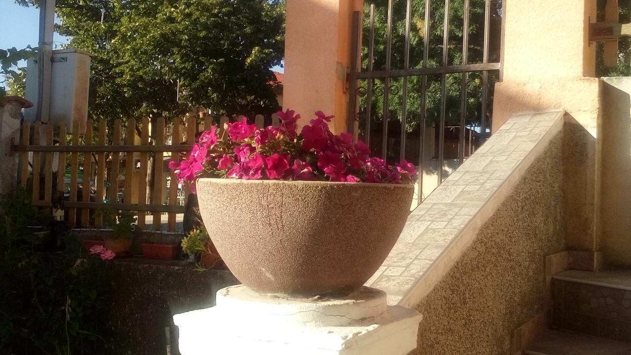 Dom Zaharievi Otel Byala  Dış mekan fotoğraf